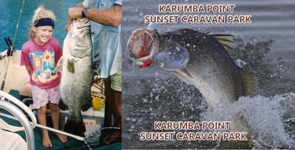 Fishing Tackle Experts Recommend  Karumba Point Sunset Caravan Park